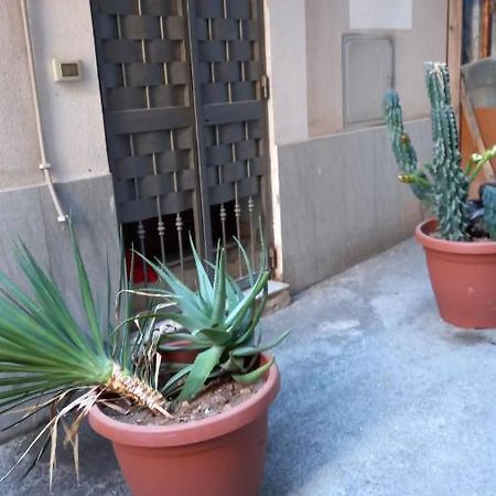 Viola Home Palermo Exterior photo